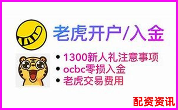 老虎證券杠桿交易操作指南與風(fēng)險(xiǎn)控制要點(diǎn)