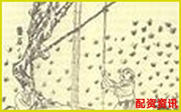 杠桿原理探源 阿基米德撬動(dòng)物理學(xué)支點(diǎn)的智慧