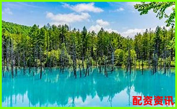 國內配資APP排行榜Top10盤點，實測評分出爐
